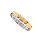 Executive Sport Gold Magnetic
