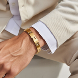 Executive Sport Gold Magnetic