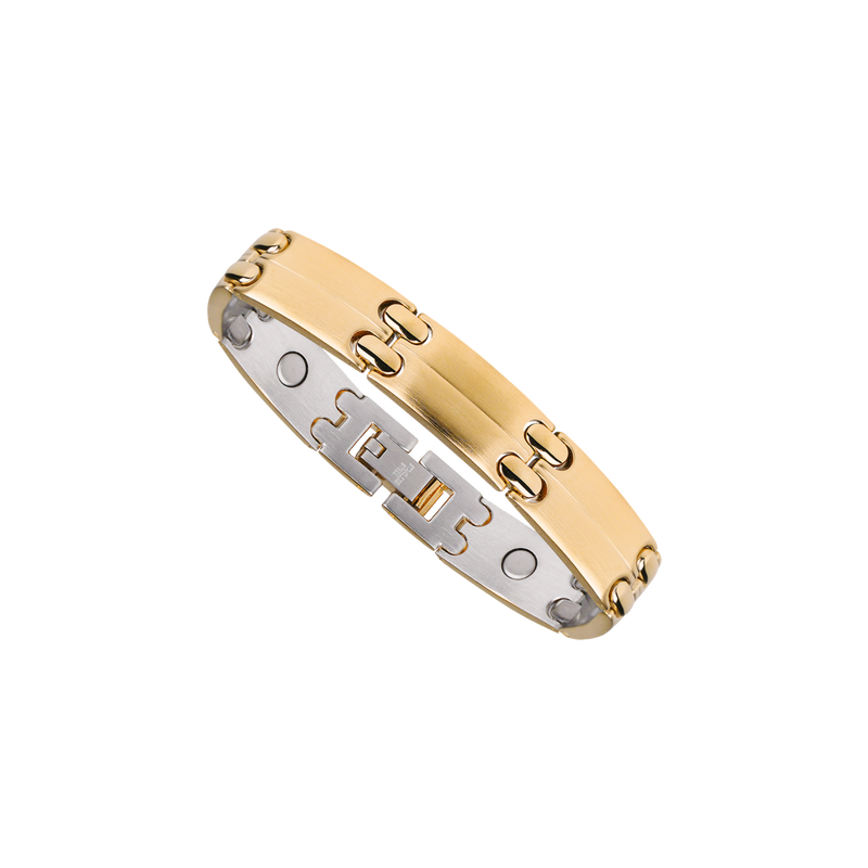 Executive Sport Gold Magnetic